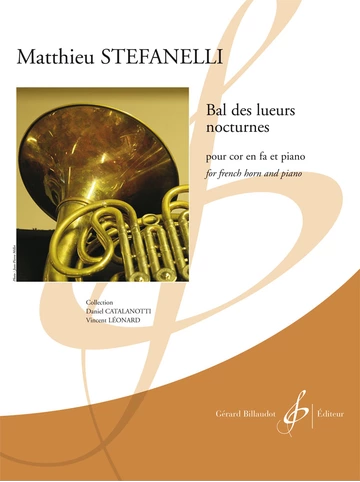 Bal des lueurs nocturnes Visuel